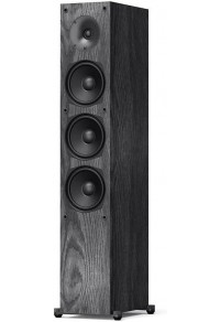 FS2-B13-Black floor-to-ceiling tower speaker woofer