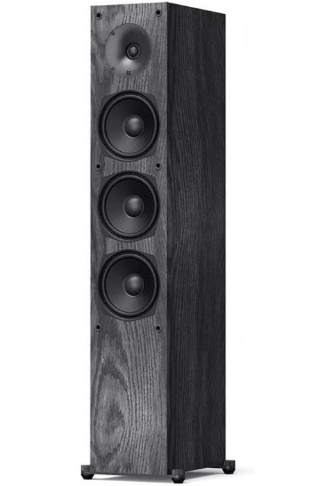 FS2-B13-Black floor-to-ceiling tower speaker woofer