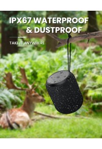 PAS749-15W Portable Bluetooth speaker, stereo (black)